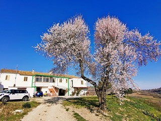 Casa Semi Indipendente in Vendita a Penne, 90'000€, 254 m²