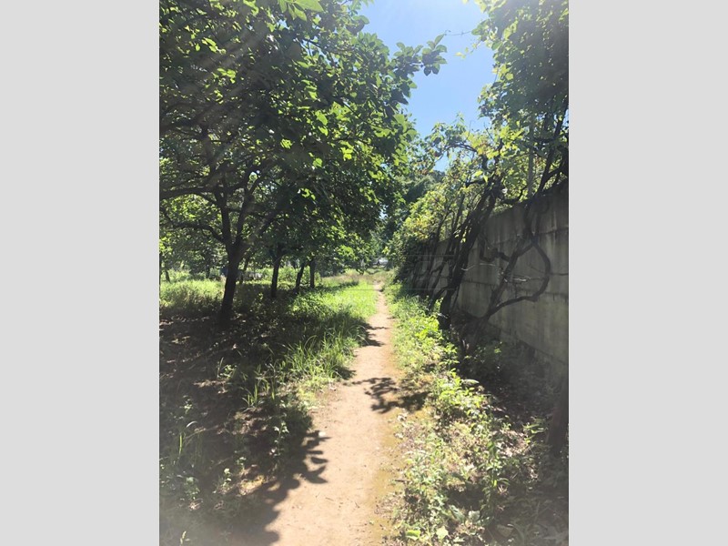 Terreno agricolo in Vendita a Roccapiemonte, 20'000&euro;, 