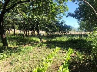 Terreno agricolo in Vendita a Roccapiemonte, 20'000&euro;, 