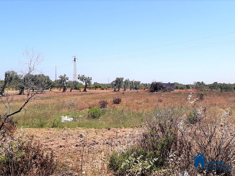 Terreno edificabile in Vendita a Bari, 60'000€, 10500 m²