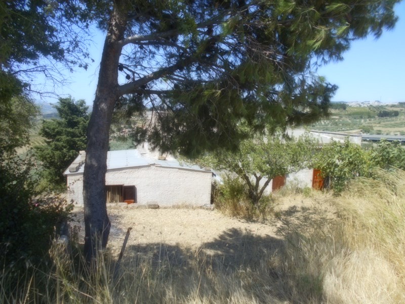 Terreno agricolo in Vendita a Santa Ninfa, zona Contrada Zafarana, 55'000&euro;, 19000 m²
