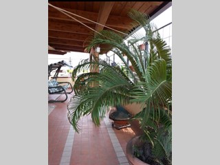 Attico in Vendita a Teverola, zona Via Marco Polo, 130'000€, 160 m², con Box