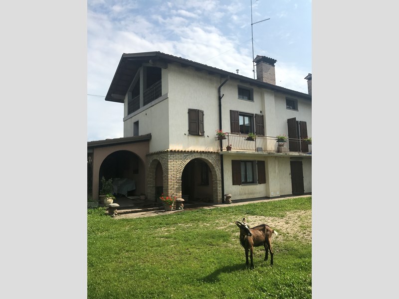 Cascina in Vendita a Treppo Grande, 330'000€