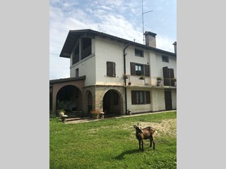 Cascina in Vendita a Treppo Grande, 330'000€