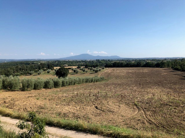 Terreno agricolo in Vendita a Civitella d'Agliano, 180'000€, 125000 m²