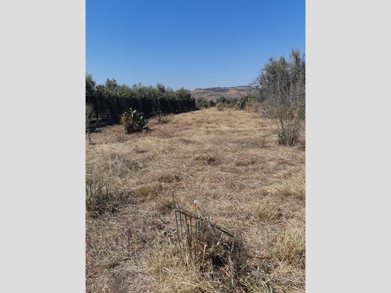 Terreno agricolo in Vendita a Paternò, zona Contrada Schettino , 8'000€, 1638 m²