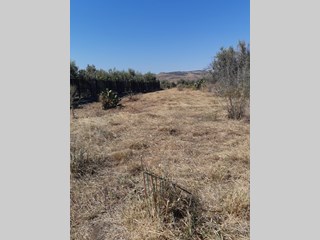 Terreno agricolo in Vendita a Paternò, zona Contrada Schettino , 8'000€, 1638 m²