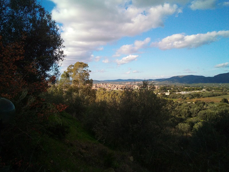 Casa Indipendente in Vendita a Dolianova, zona Sa Sedda de su Monti, 119'000€, 5000 m², arredato