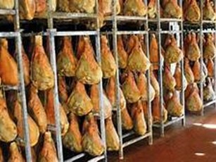 Capannone in Vendita a Parma, 10000 m²