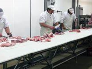 Capannone in Vendita a Parma, 10000 m²