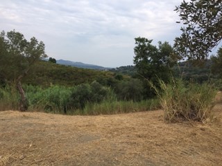 Terreno agricolo in Vendita a Casal Velino, zona ardisani, 55'000€, 5343 m²