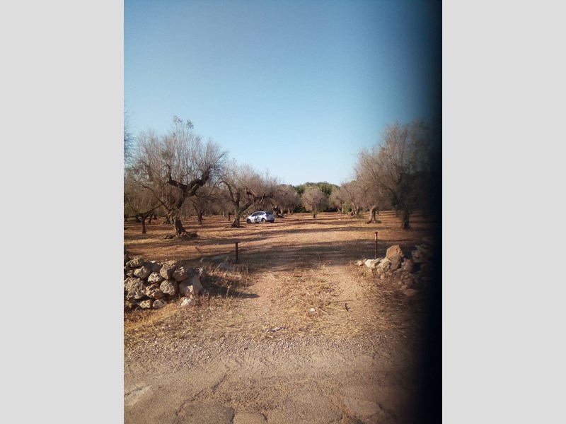 Terreno agricolo in Vendita a Ugento, 15'000€, 10510 m²