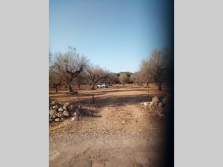 Terreno agricolo in Vendita a Ugento, 15'000€, 10510 m²