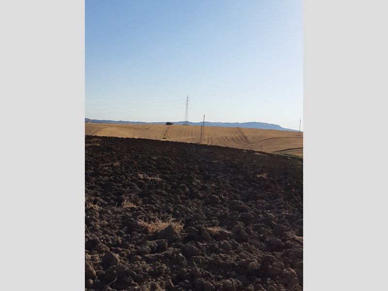 Terreno agricolo in Vendita a Aragona, zona Contrada Serra SP 17, 65'000€, 1,8 he