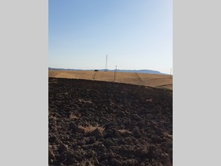 Terreno agricolo in Vendita a Aragona, zona Contrada Serra SP 17, 65'000€, 1,8 he