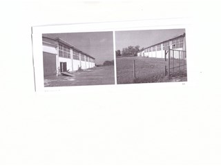 Capannone in Affitto a Roma, zona flaminia, 3000 m²