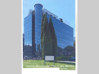 Ufficio in Affitto a Roma, zona PARCO DEI MEDICI, 9000 m²