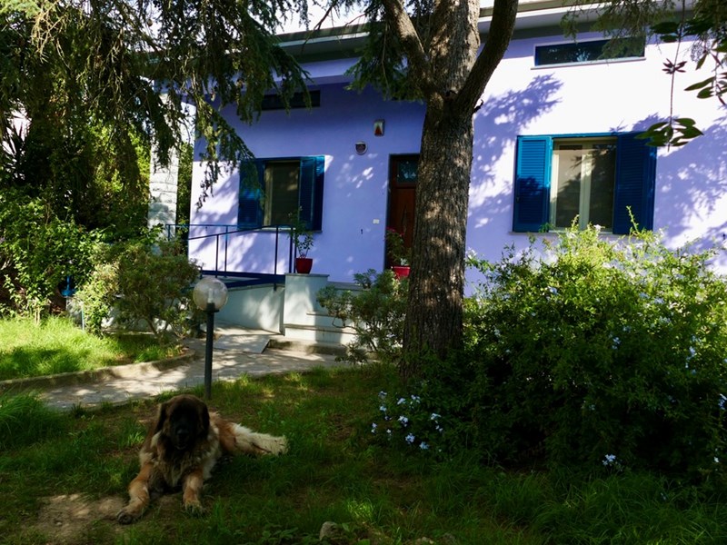 Villa in Vendita a Cascina, zona San Lorenzo alle Corti, 790'000€, 300 m²