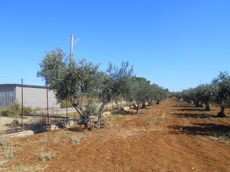Terreno agricolo in Vendita a Castelvetrano, zona Partanna, 13'500&euro;, 3400 m²