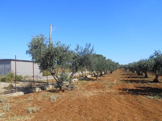 Terreno agricolo in Vendita a Castelvetrano, zona Partanna, 13'500&euro;, 3400 m²