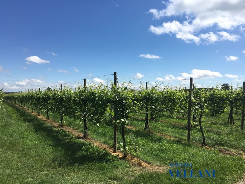 Terreno edificabile in Vendita a Soliera, 840'000€, 120000 m²