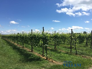 Terreno edificabile in Vendita a Soliera, 840'000€, 120000 m²