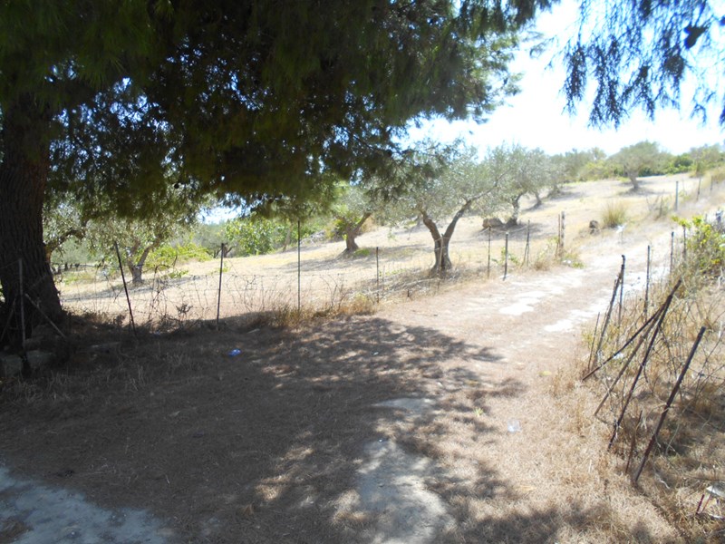 Terreno agricolo in Vendita a Castelvetrano, zona Montagna, 9'000&euro;, 7630 m²