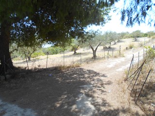 Terreno agricolo in Vendita a Castelvetrano, zona Montagna, 9'000&euro;, 7630 m²
