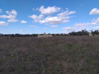 Rustico in Vendita a Scorrano, zona via Gallipoli, 25'000€, 96 m²