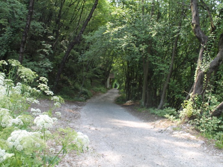 Rustico in Vendita a Ledro, zona Prè diLedro, 120'000€, 200 m²