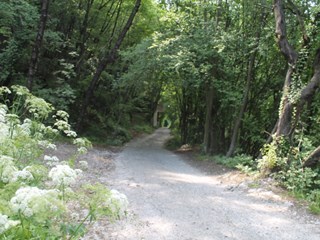 Rustico in Vendita a Ledro, zona Prè diLedro, 120'000€, 200 m²