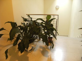 Attico in Vendita a Motta di Livenza, zona centro, 250'000€, 165 m²