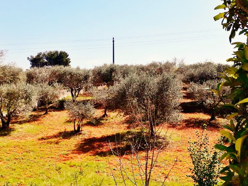 Casa Indipendente in Vendita a Locorotondo, zona contrada mancinella n.8 - strada comunale  157 , 180'000€, 174 m², arredato, con Box