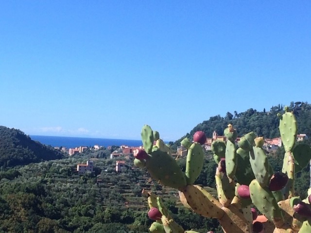 Appartamento in Vendita a Arcola, zona Trebiano, 100 m²