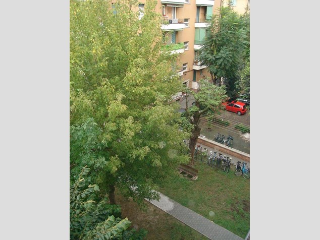 Stanza in Affitto a Bologna, 300€