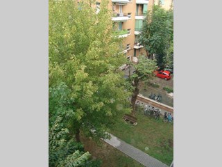 Stanza in Affitto a Bologna, 300€