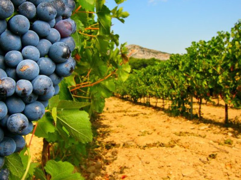 Terreno agricolo in Vendita a Manerba del Garda, 89'901€