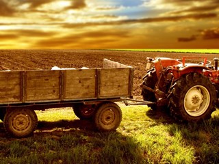 Terreno agricolo in Vendita a Quinzano d'Oglio, 1'348'050€, 44661 m²