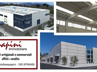 Capannone in Vendita a Pietrasanta, 755 m²