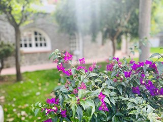 Villa in Affitto a Ischia, 9'000€, 300 m², arredato