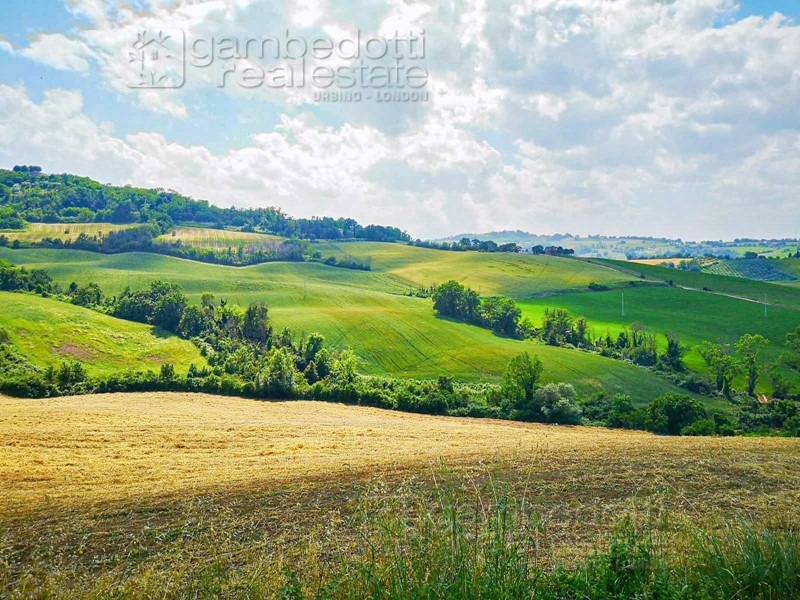 Rustico in Vendita a Terre Roveresche, 49'000€, 220 m²