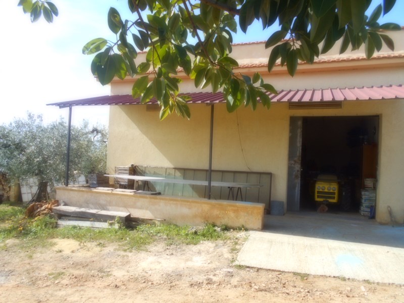 Terreno agricolo in Vendita a Castelvetrano, zona Contrada Canalotto, 60'000€, 10000 m²