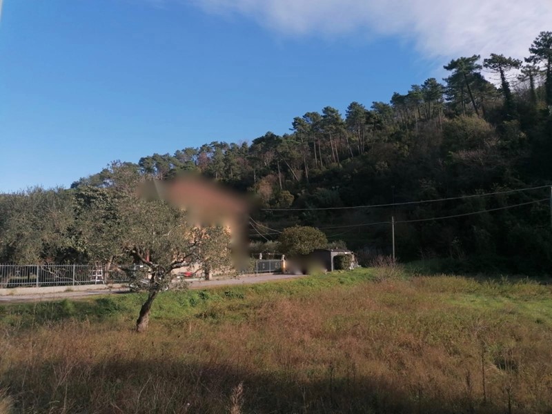 Terreno agricolo in Vendita a Sarzana, 110'000€, 3500 m²