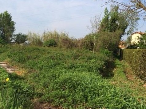 Terreno agricolo in Vendita a Cascina, zona San Sisto Al Pino, 15'000€, 1060 m²