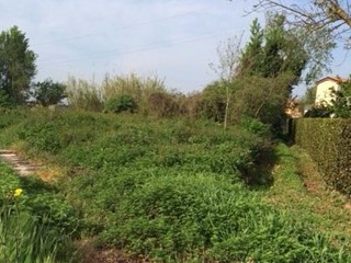 Terreno agricolo in Vendita a Cascina, zona San Sisto Al Pino, 15'000€, 1060 m²