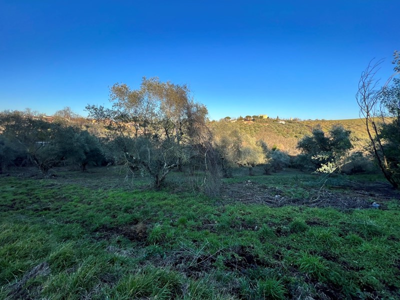 Terreno agricolo in Vendita a Morlupo, 20'000&euro;, 7380 m²