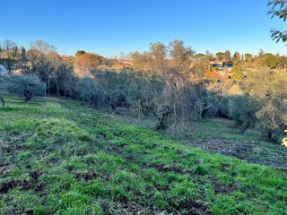 Terreno agricolo in Vendita a Morlupo, 20'000&euro;, 7380 m²
