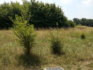 Terreno edificabile in Vendita a Desenzano del Garda, 322'711€