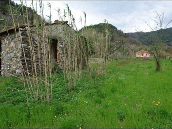 Terreno agricolo in Vendita a Fosdinovo, zona Giucano, 40'000€, 10000 m²