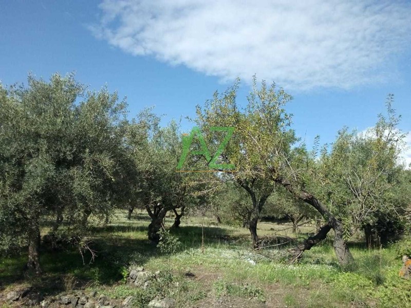 Terreno edificabile in Vendita a Pedara, zona Contrada Ombra, 280'000€, 7000 m²